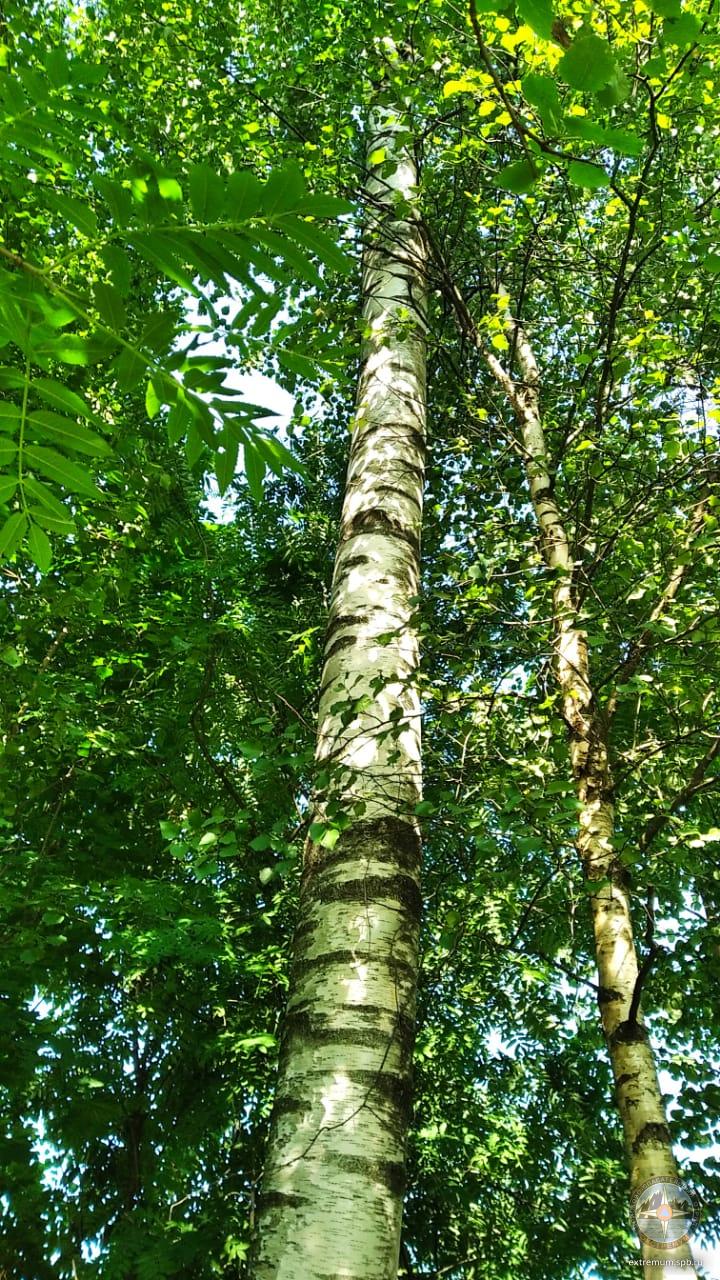 WhatsApp Image 2021-07-07 at 09.54.36.jpeg