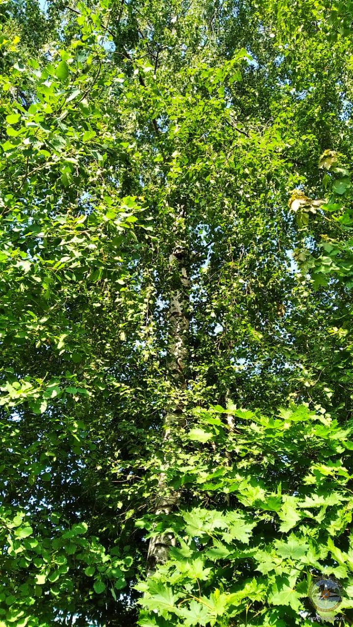 WhatsApp Image 2021-07-07 at 09.54.28.jpeg