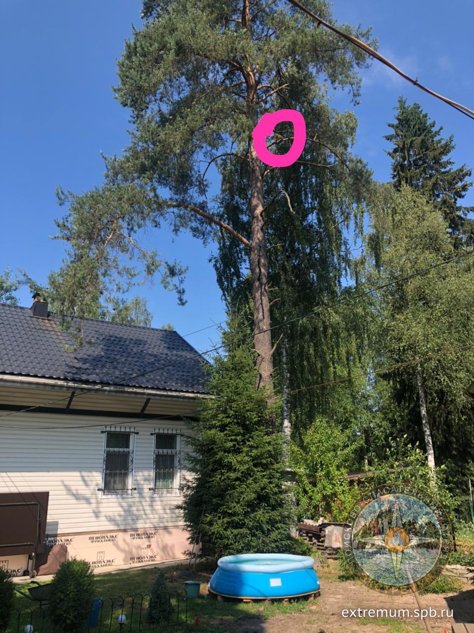 WhatsApp Image 2021-07-07 at 11.09.01.jpeg