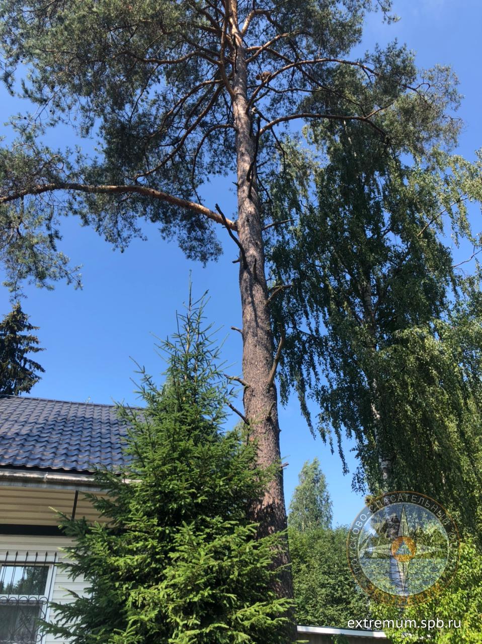 WhatsApp Image 2021-07-07 at 11.09.01 (1).jpeg