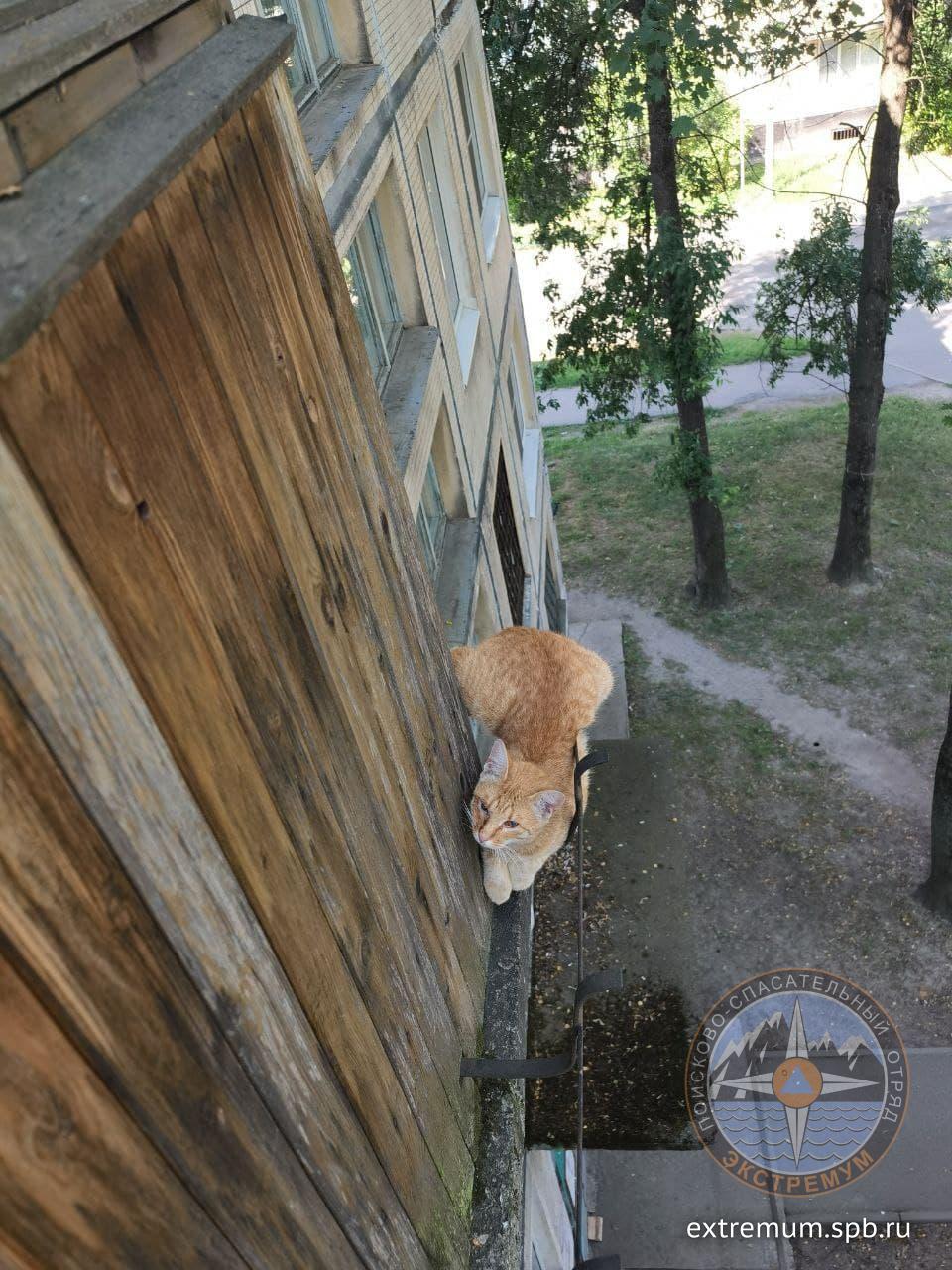 photo_2021-07-08_15-13-06 (2).jpg