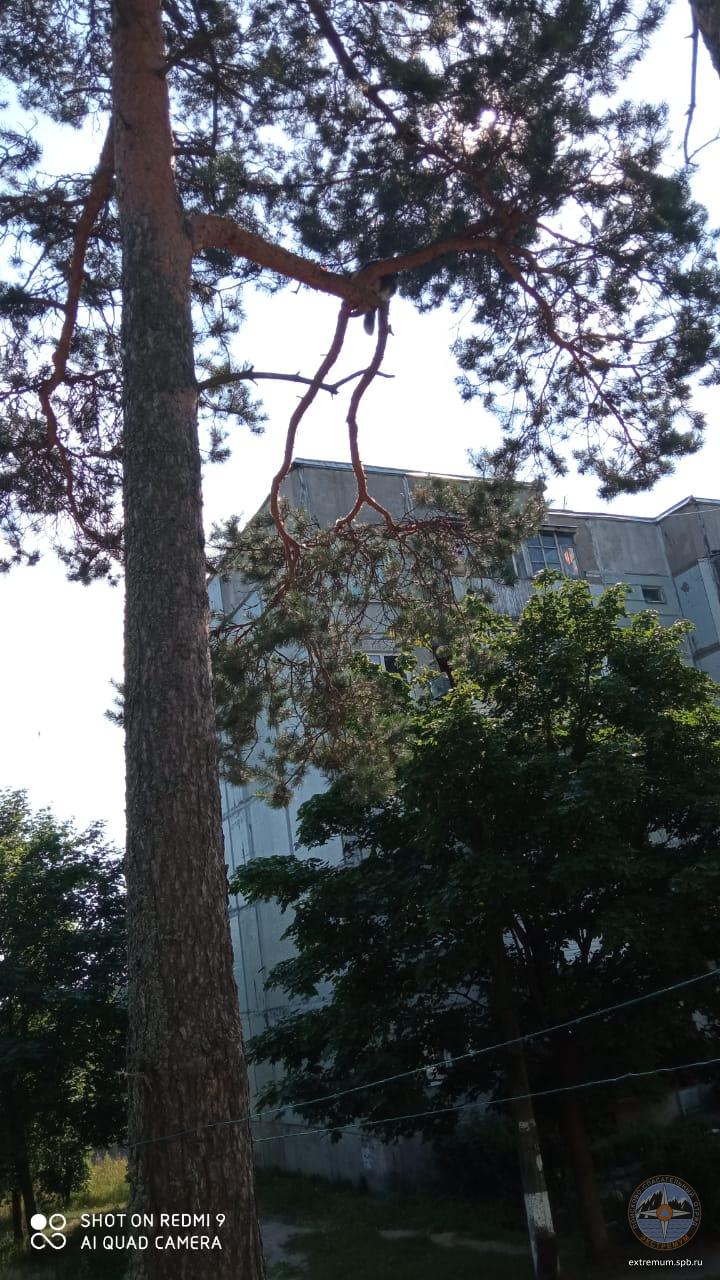 WhatsApp Image 2021-07-10 at 12.14.44.jpeg