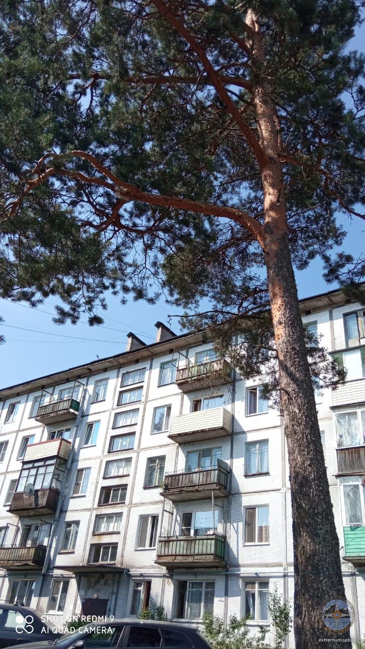 WhatsApp Image 2021-07-10 at 12.14.43 (1).jpeg