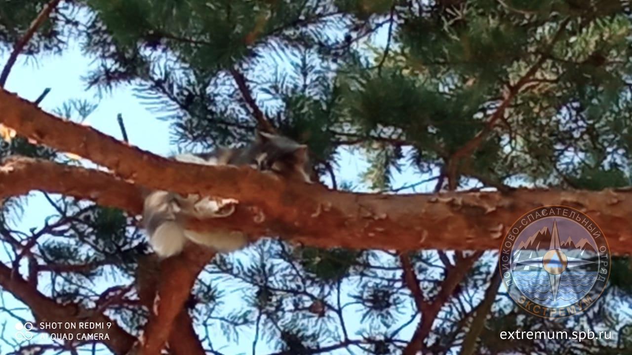 WhatsApp Image 2021-07-10 at 12.14.43.jpeg