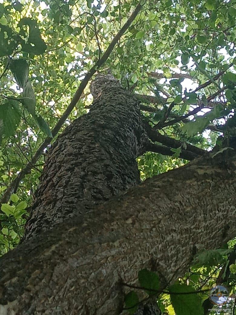 WhatsApp Image 2021-07-10 at 13.01.22.jpeg