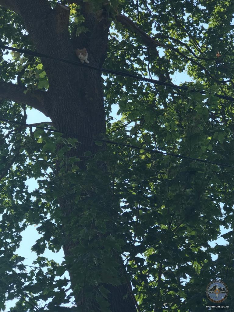 WhatsApp Image 2021-07-11 at 10.55.30.jpeg