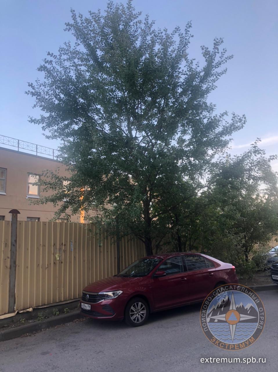 WhatsApp Image 2021-07-27 at 19.57.46.jpeg