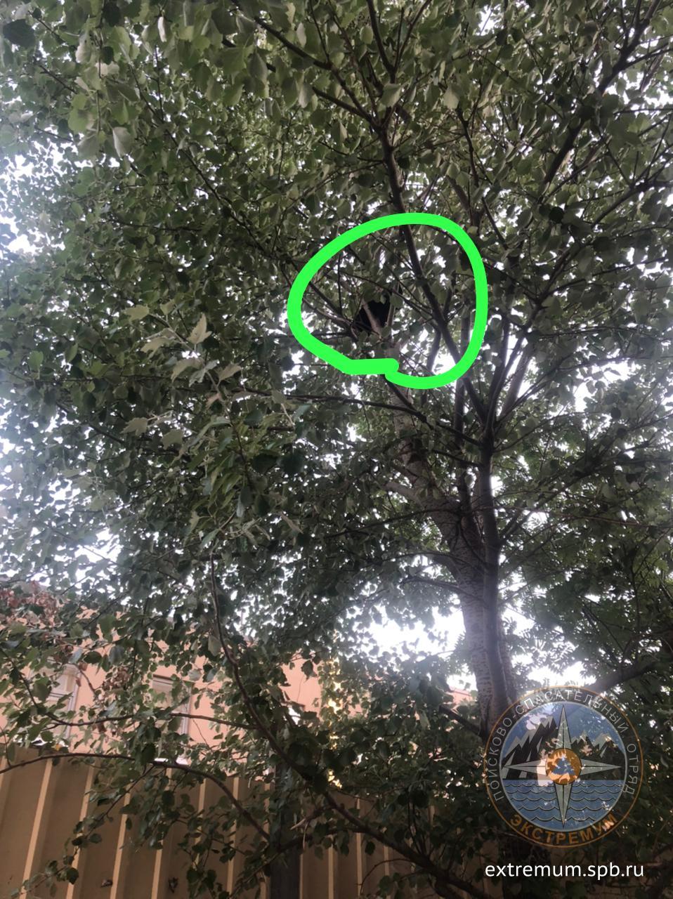 WhatsApp Image 2021-07-27 at 19.57.47.jpeg