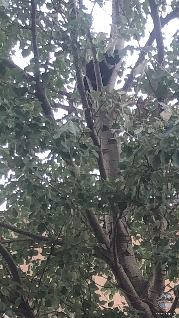 WhatsApp Image 2021-07-27 at 19.59.10.jpeg