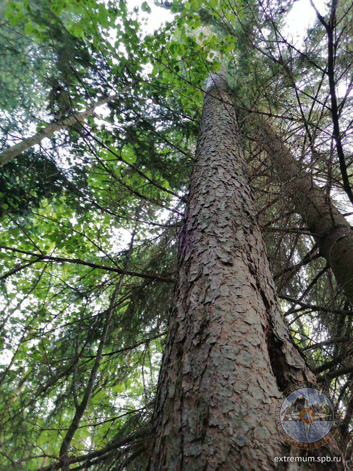 WhatsApp Image 2021-07-29 at 17.30.47.jpeg