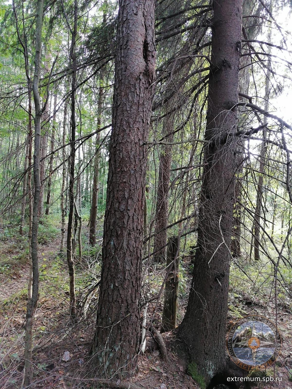 WhatsApp Image 2021-07-29 at 17.30.48.jpeg