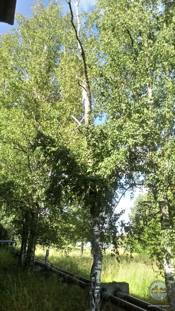 WhatsApp Image 2021-07-30 at 16.05.52.jpeg