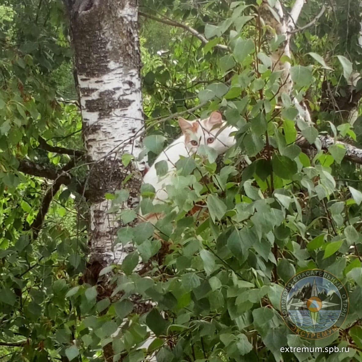 WhatsApp Image 2021-07-30 at 16.05.53.jpeg