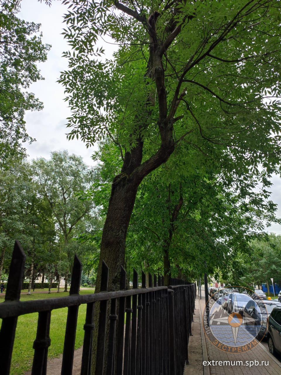 WhatsApp Image 2021-08-02 at 11.03.51.jpeg