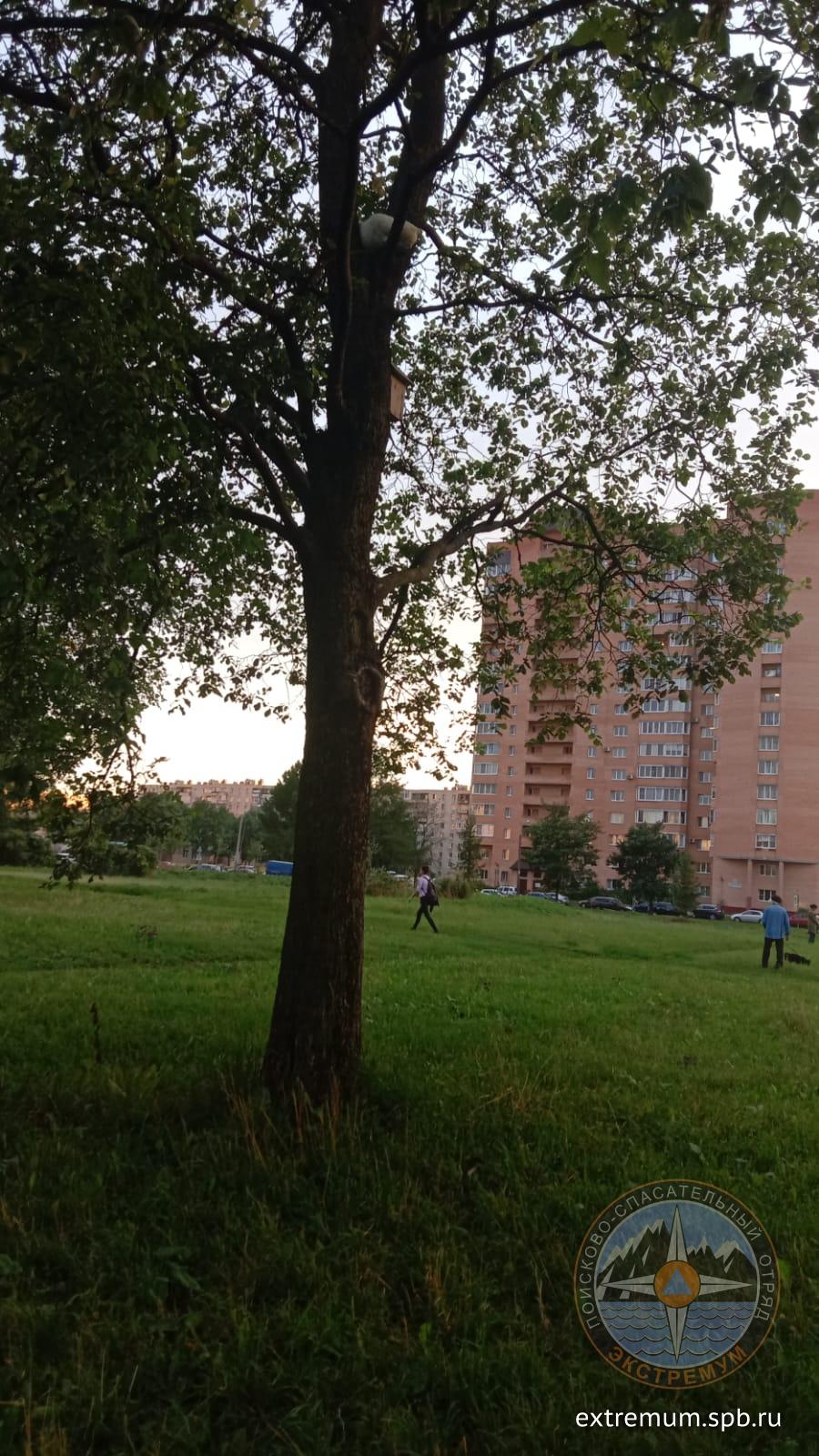 WhatsApp Image 2021-08-09 at 20.19.48.jpeg