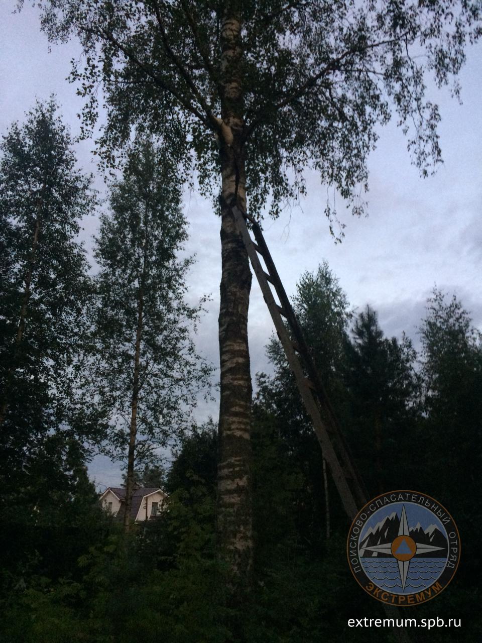 WhatsApp Image 2021-08-09 at 21.26.59.jpeg