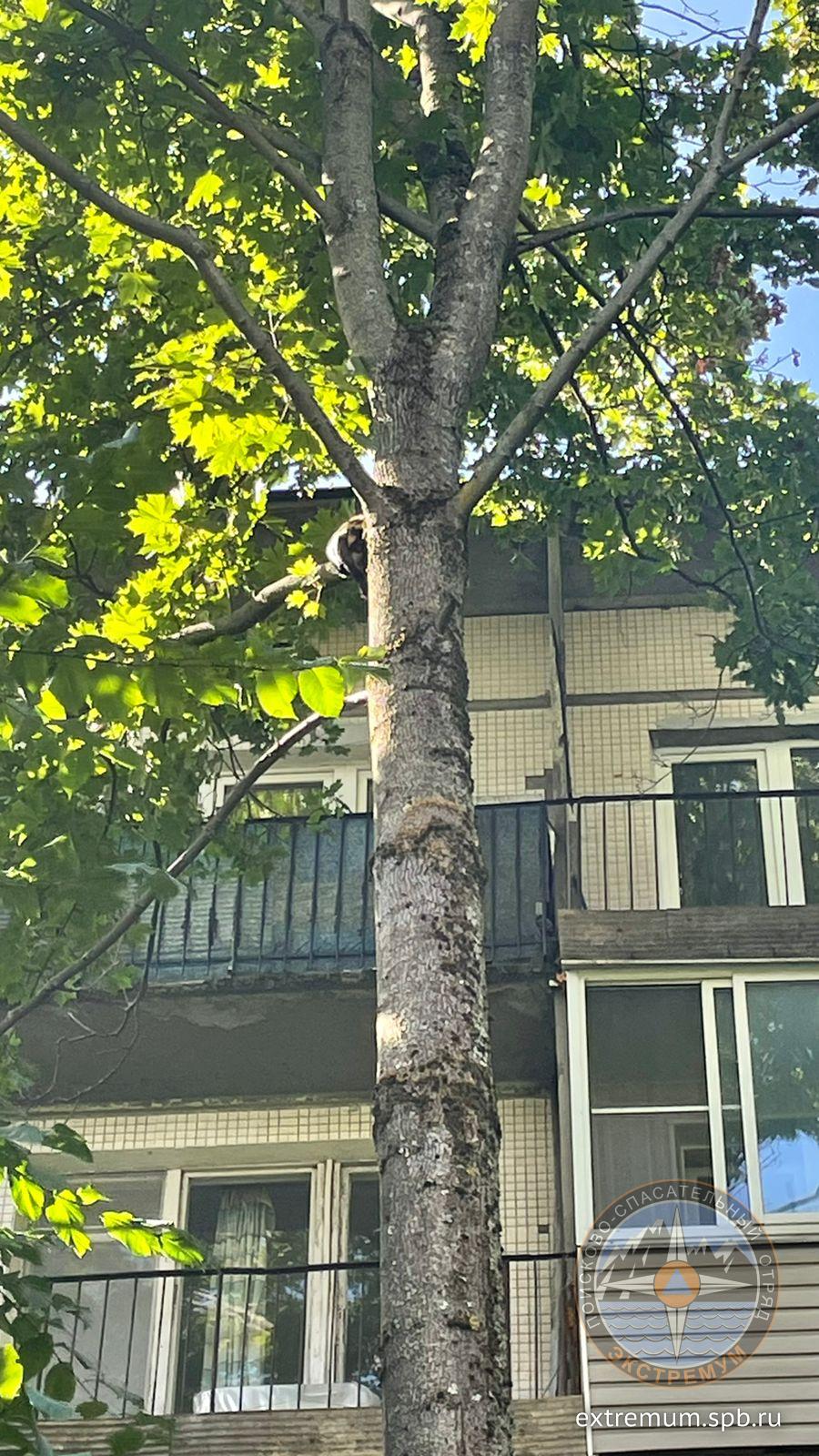 WhatsApp Image 2021-08-18 at 14.53.59 (1).jpeg