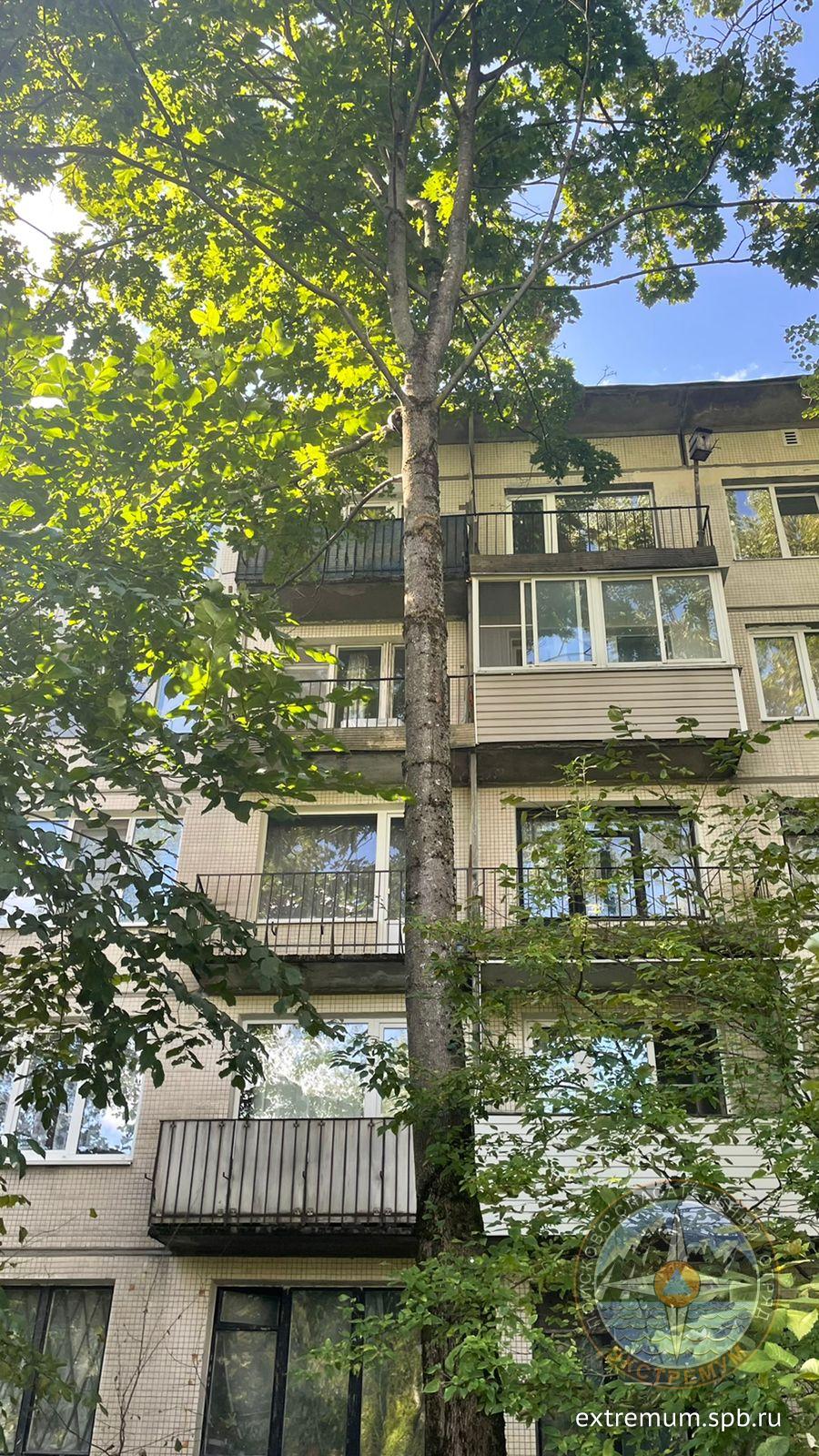 WhatsApp Image 2021-08-18 at 14.53.59.jpeg