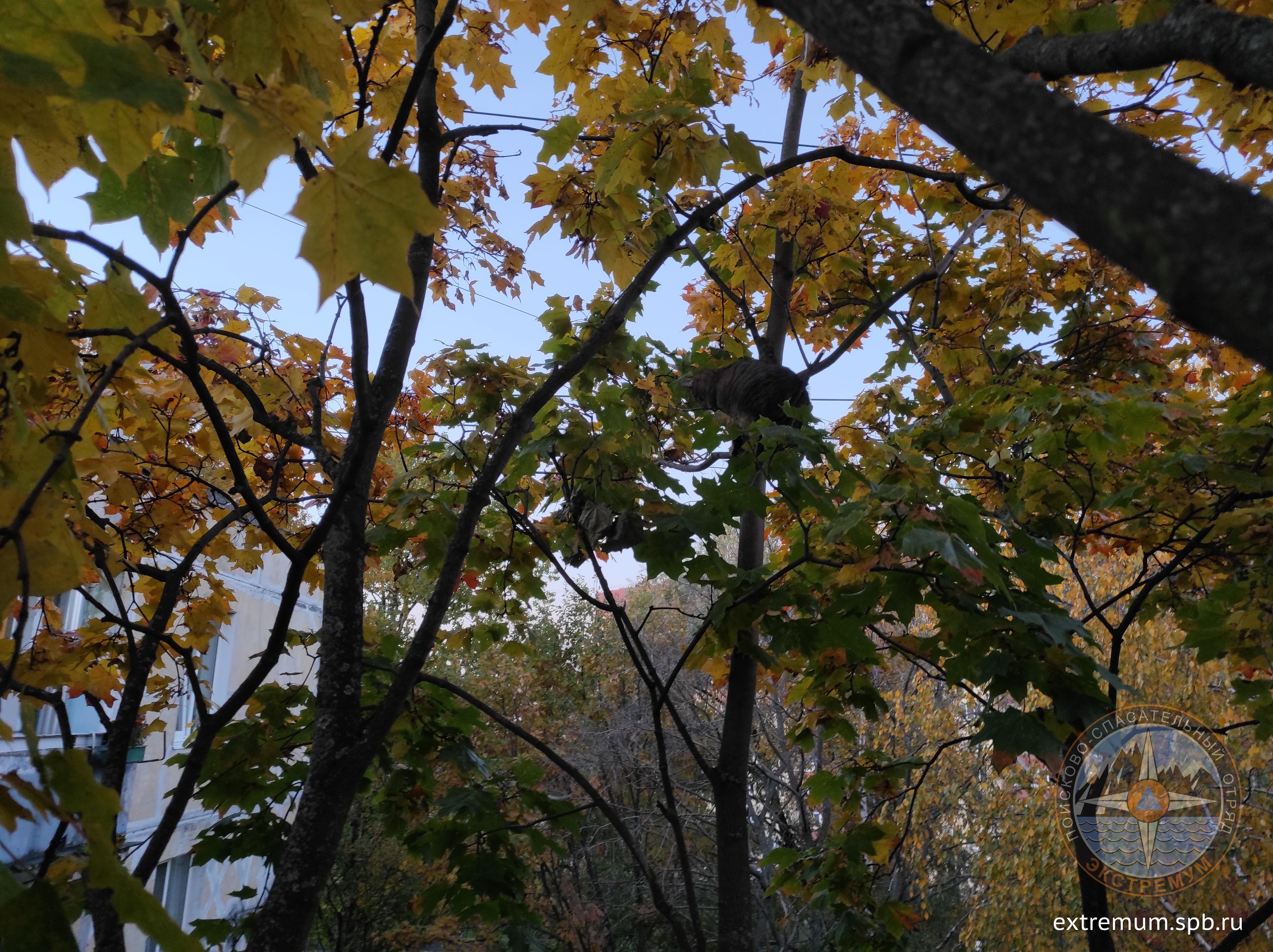 IMG_20211002_183047.jpg