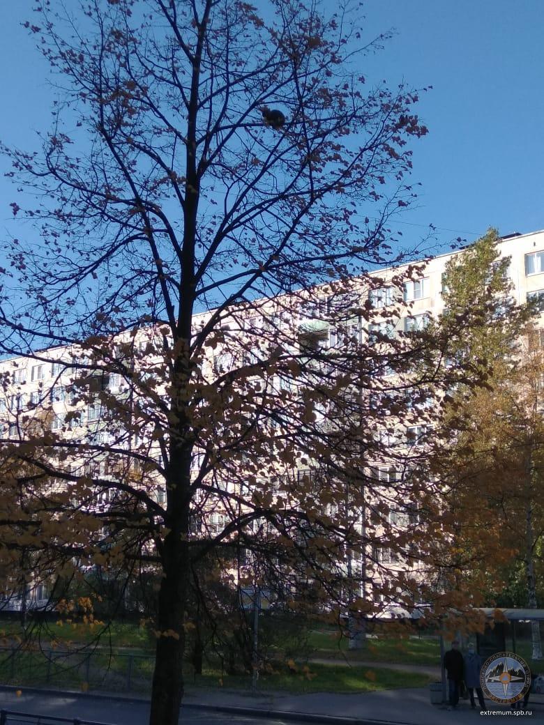 WhatsApp Image 2021-10-07 at 10.02.46.jpeg