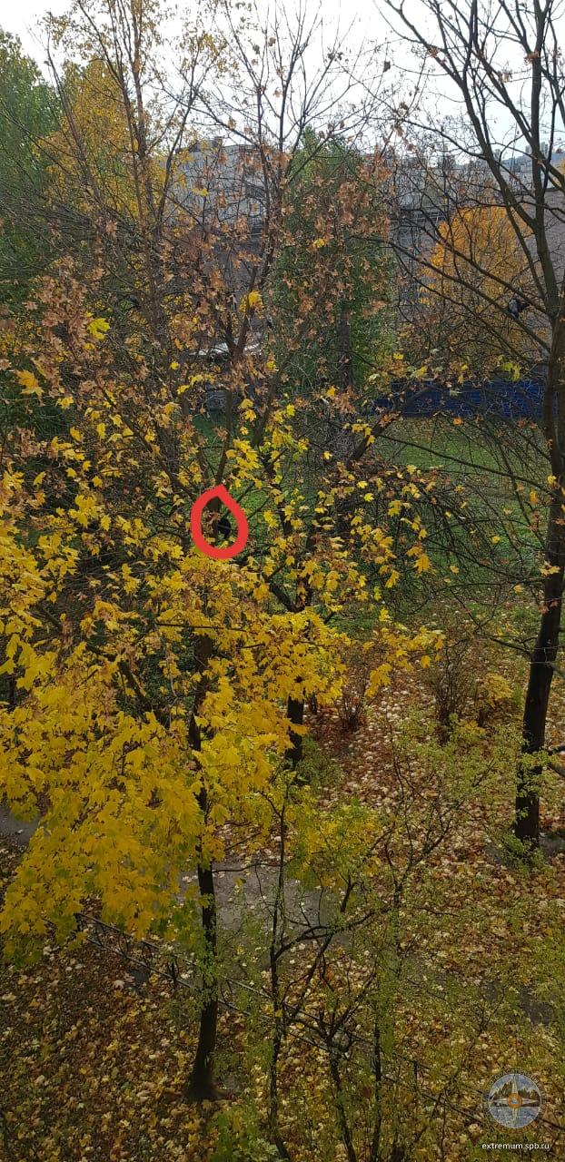 WhatsApp Image 2021-10-08 at 17.03.07.jpeg