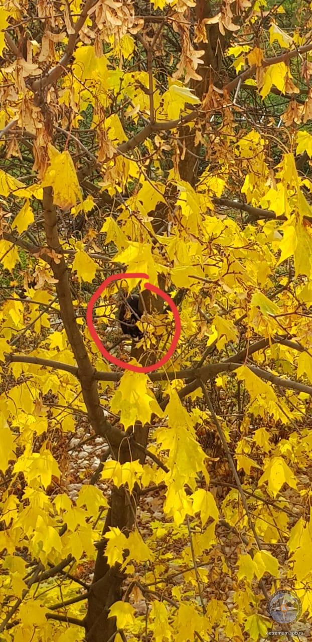 WhatsApp Image 2021-10-08 at 17.03.06 (1).jpeg