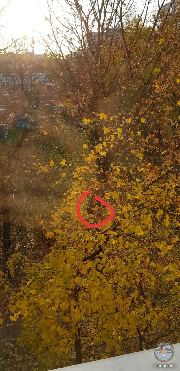 WhatsApp Image 2021-10-08 at 17.03.06.jpeg