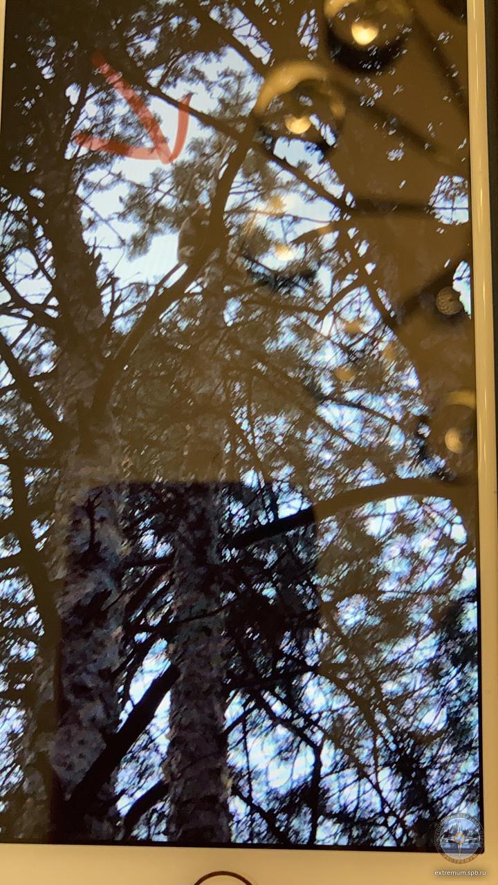 WhatsApp Image 2021-10-10 at 11.48.08 (2).jpeg