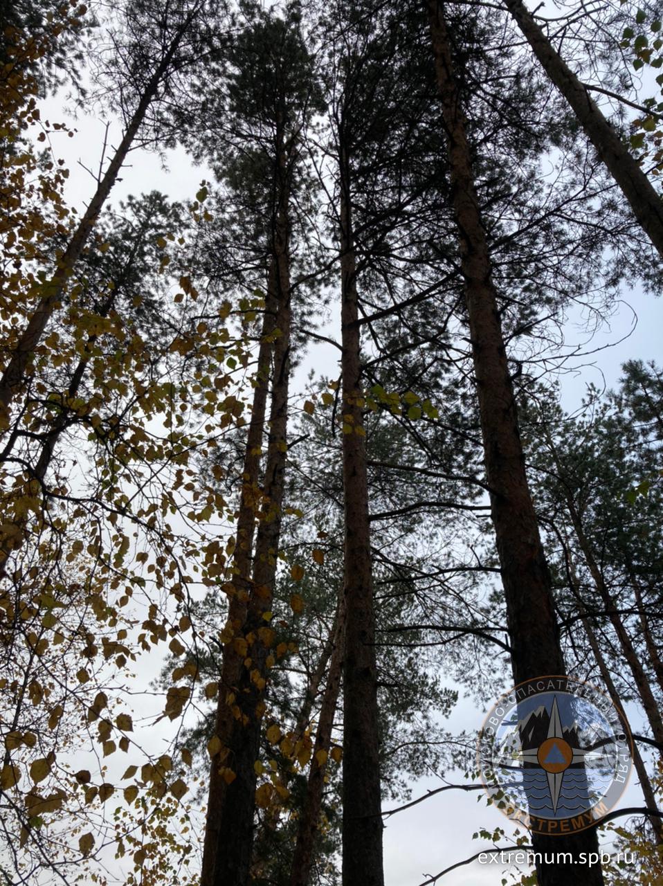 WhatsApp Image 2021-10-10 at 11.48.08 (1).jpeg