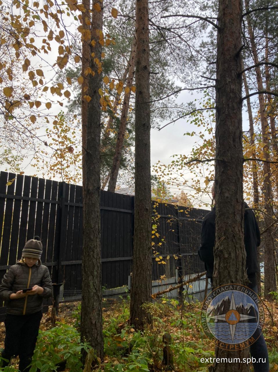 WhatsApp Image 2021-10-10 at 11.48.08.jpeg