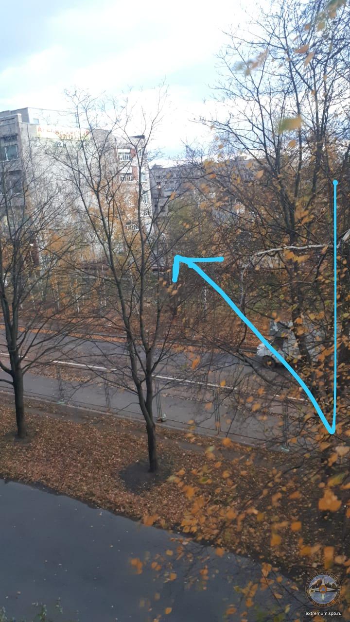 WhatsApp Image 2021-10-17 at 18.13.35.jpeg