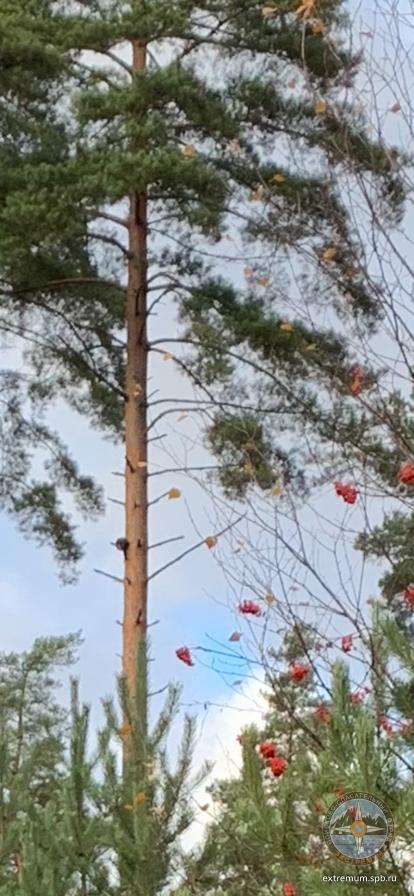 WhatsApp Image 2021-10-19 at 12.28.46.jpeg