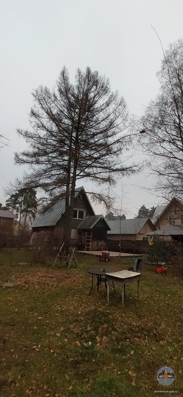 WhatsApp Image 2021-11-02 at 09.50.10.jpeg