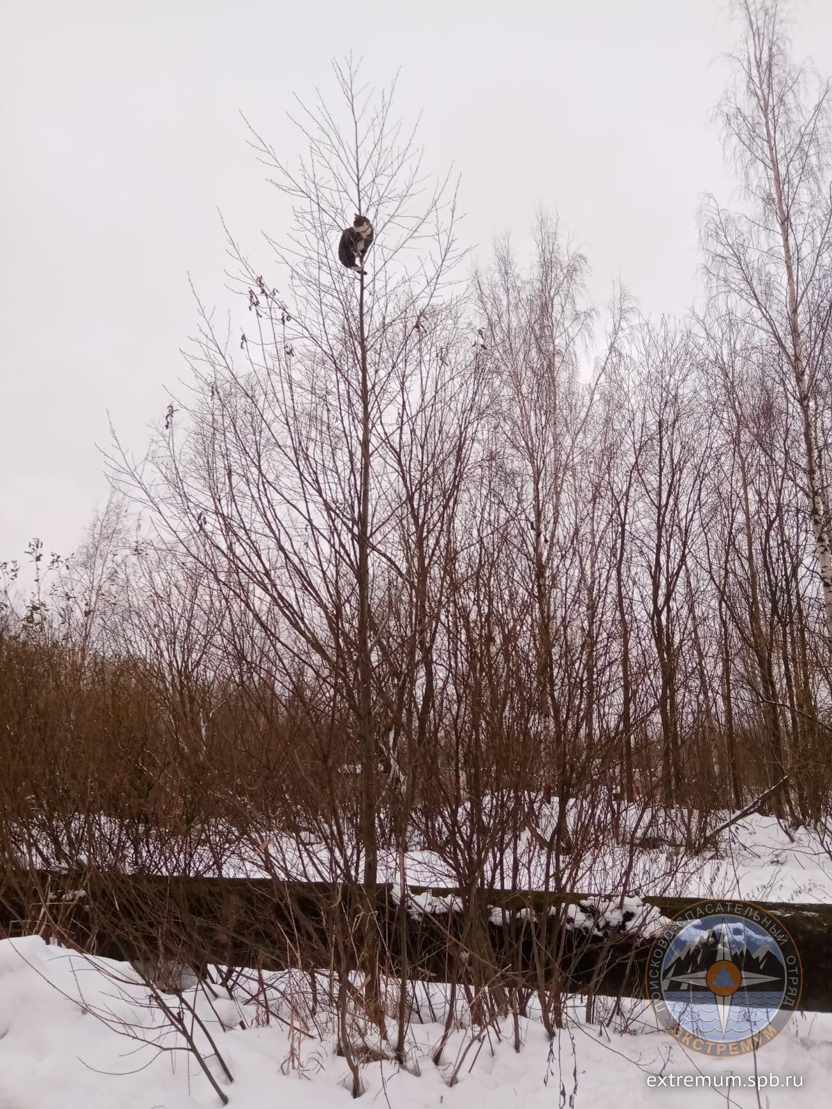 WhatsApp Image 2021-12-14 at 10.06.18.jpeg