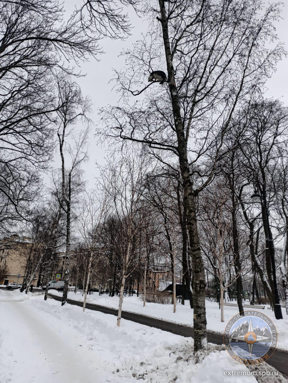 WhatsApp Image 2021-12-14 at 14.25.34.jpeg