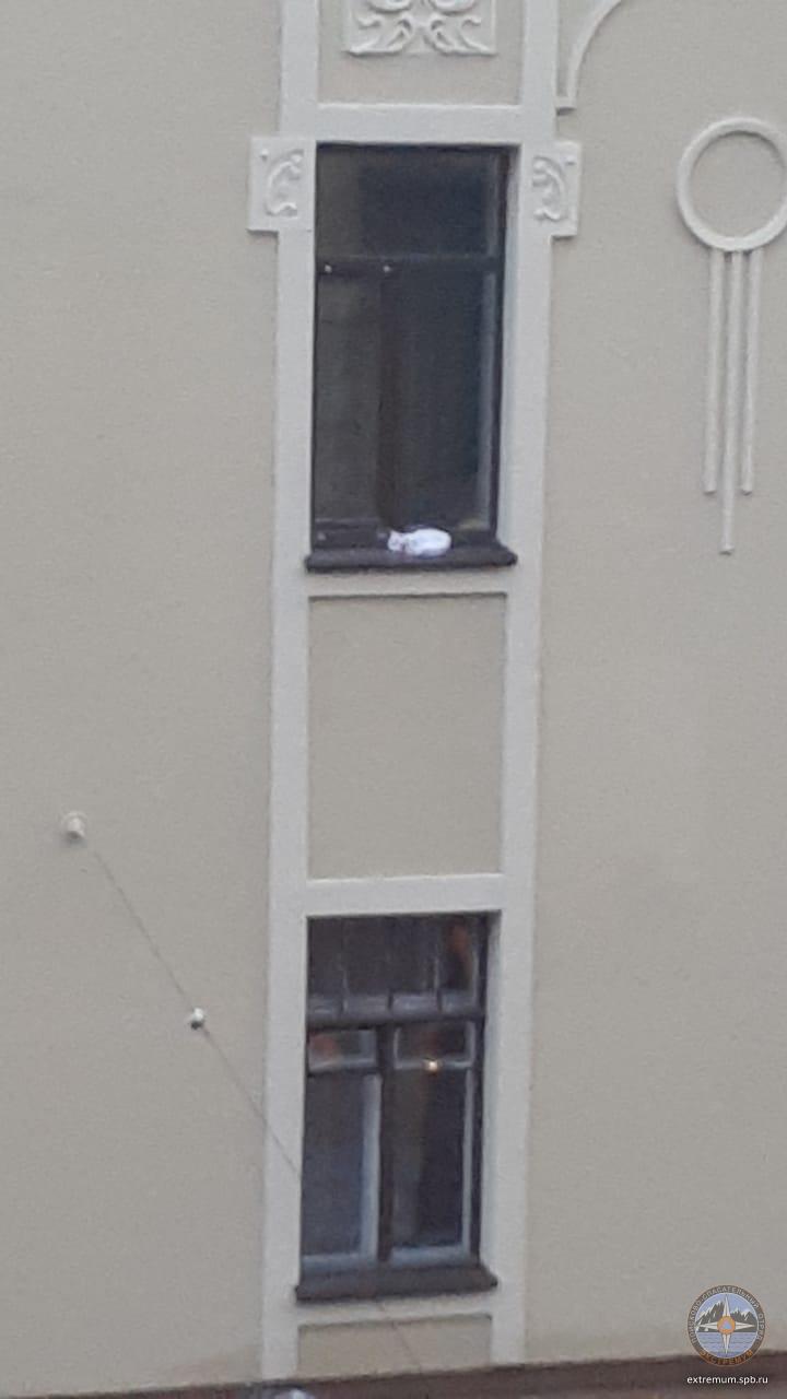 WhatsApp Image 2021-12-16 at 15.31.15.jpeg