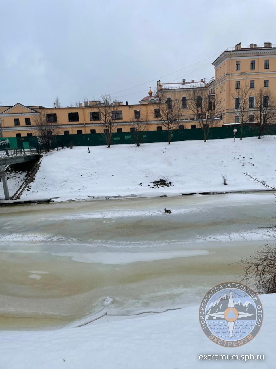 WhatsApp Image 2021-12-17 at 14.28.20.jpeg