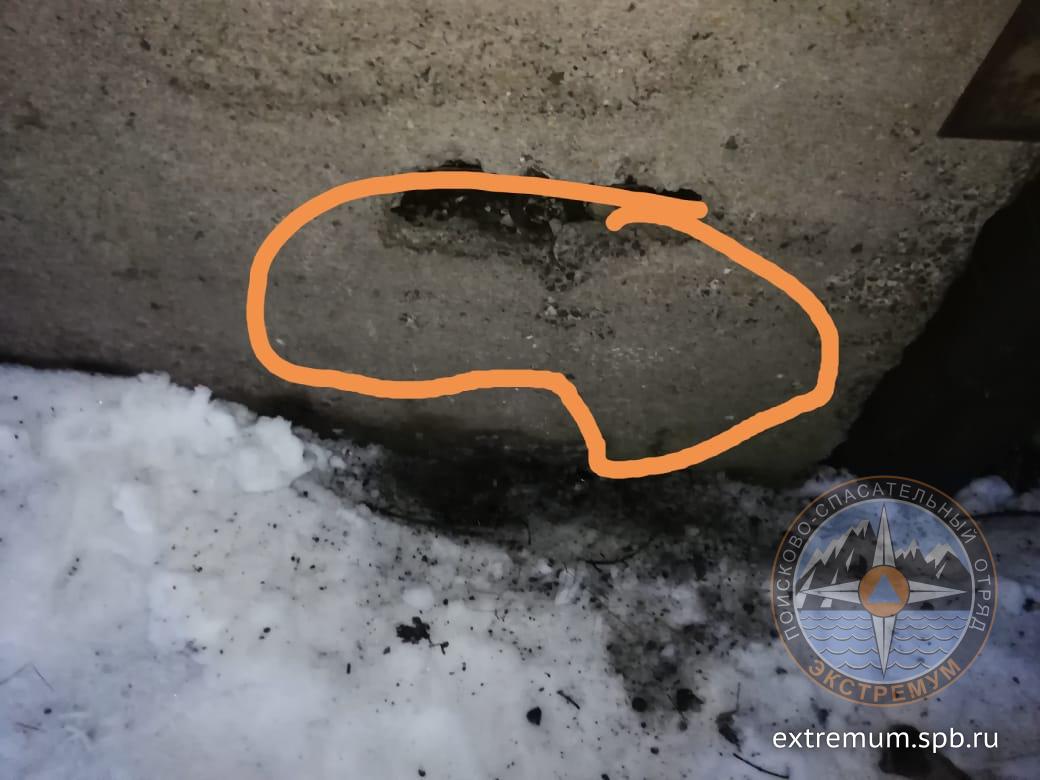 WhatsApp Image 2022-01-15 at 17.15.33.jpeg