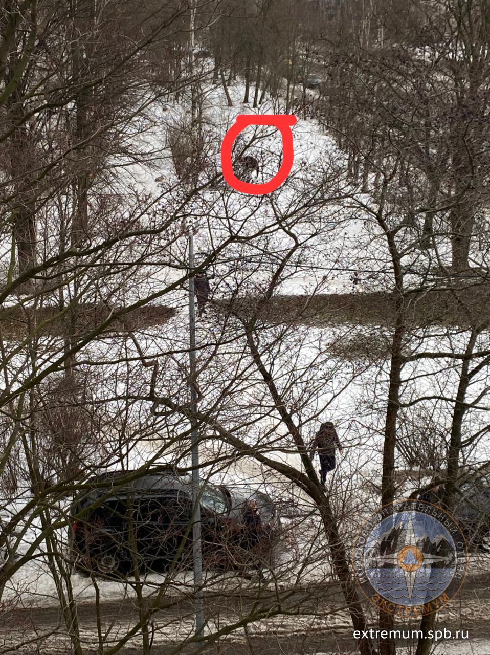 WhatsApp Image 2022-01-17 at 13.57.09.jpeg