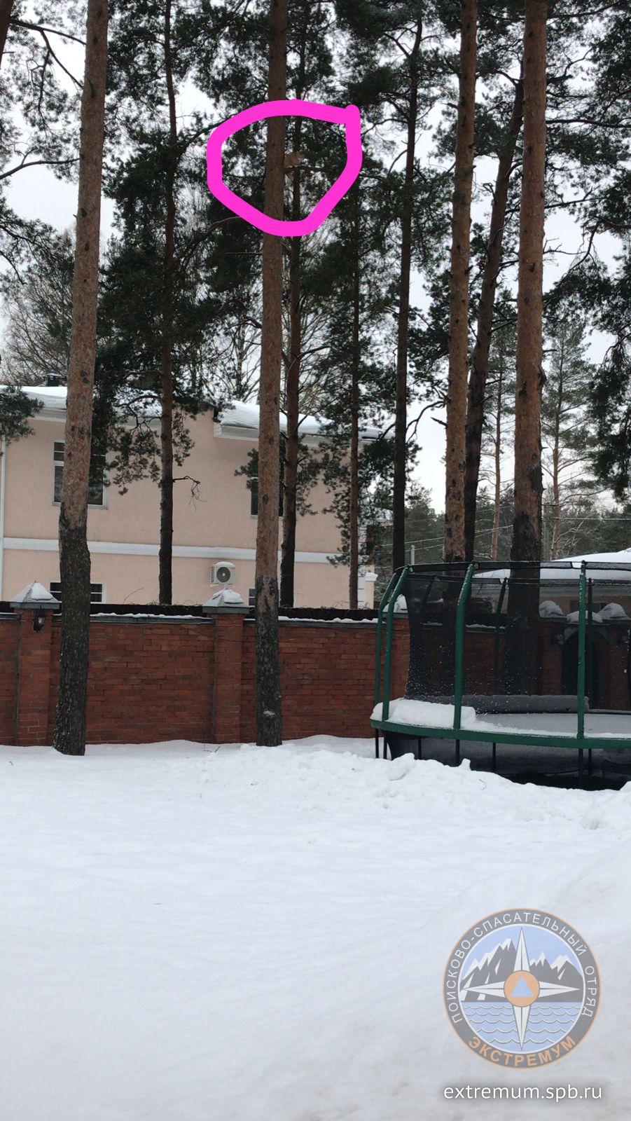 WhatsApp Image 2022-01-19 at 11.42.39.jpeg