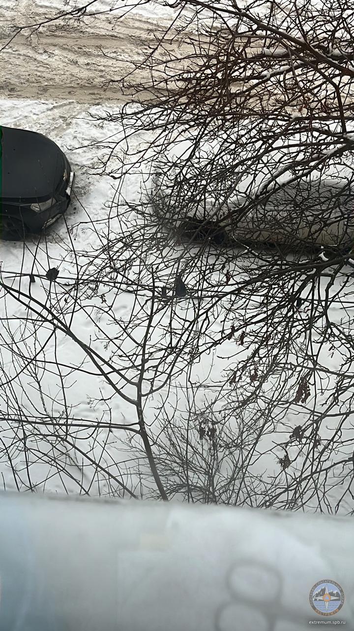 WhatsApp Image 2022-02-02 at 15.24.28.jpeg