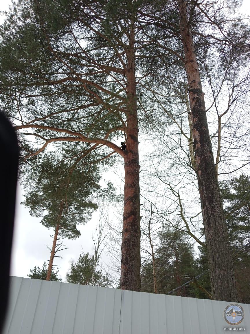 WhatsApp Image 2022-02-13 at 14.55.30 (1).jpeg