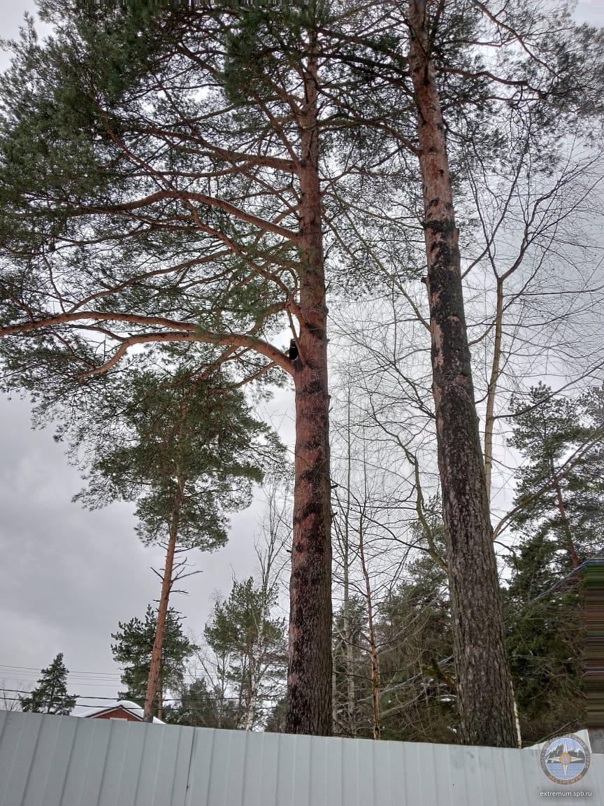 WhatsApp Image 2022-02-13 at 14.55.30.jpeg