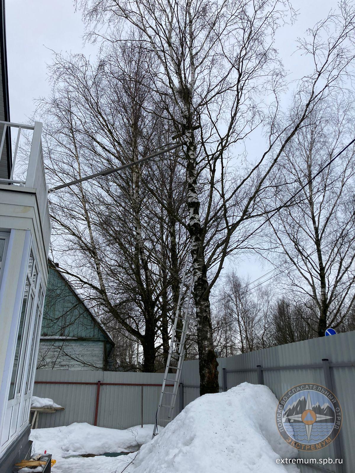 WhatsApp Image 2022-02-16 at 09.40.37.jpeg