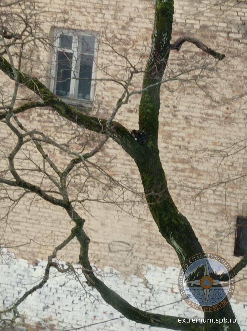 WhatsApp Image 2022-02-16 at 17.27.46 (1).jpeg