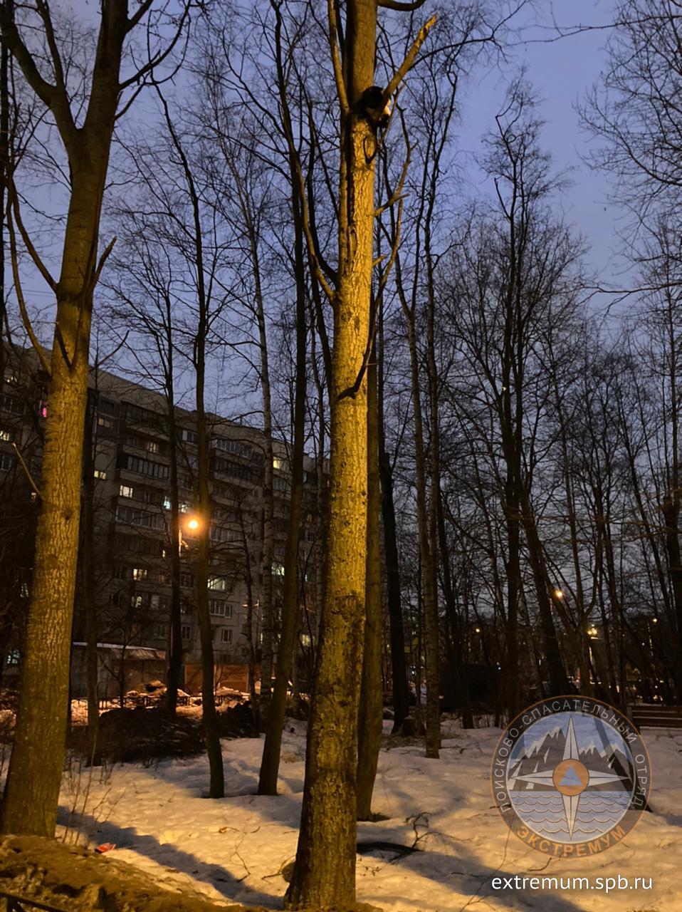 WhatsApp Image 2022-03-02 at 19.06.34.jpeg