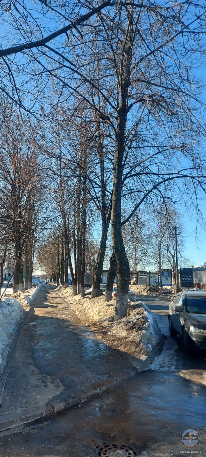 WhatsApp Image 2022-03-09 at 16.24.34.jpeg