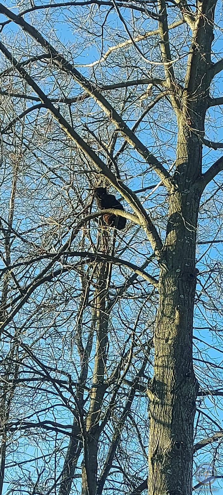 WhatsApp Image 2022-03-09 at 16.24.34 (1).jpeg