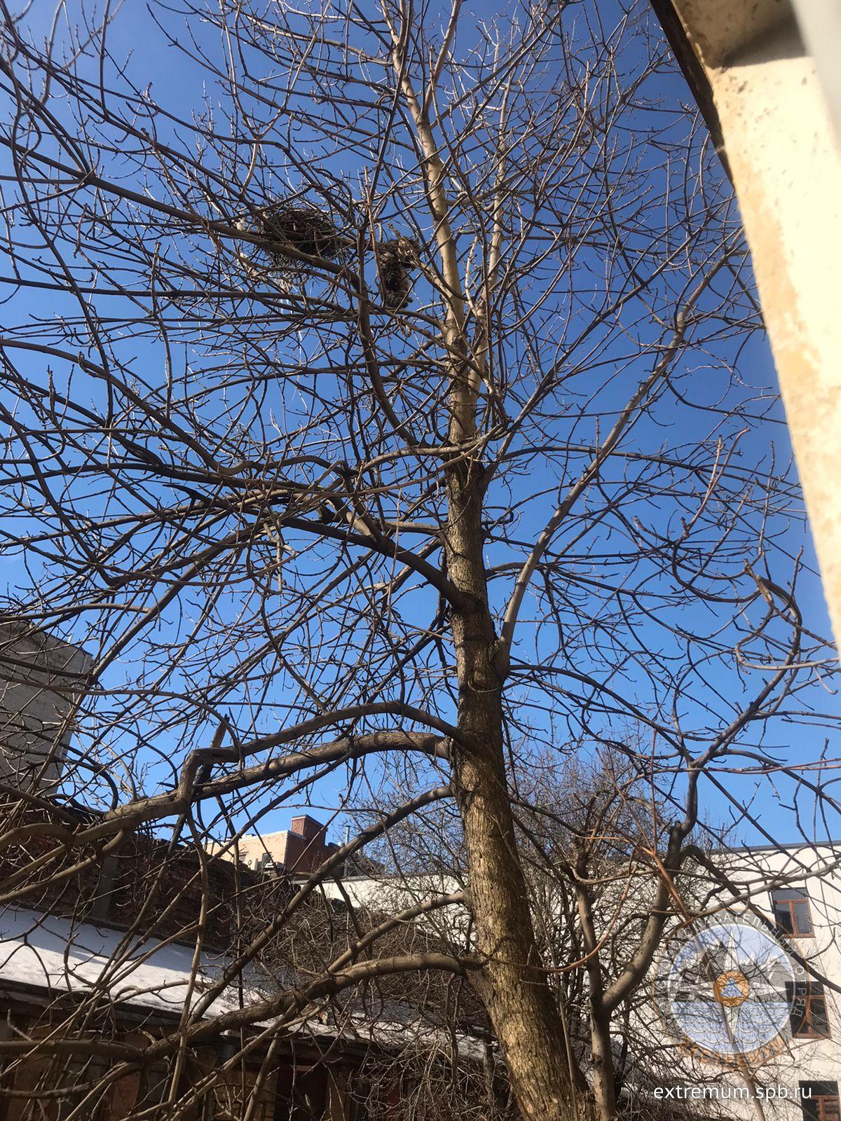 WhatsApp Image 2022-03-16 at 13.25.33.jpeg