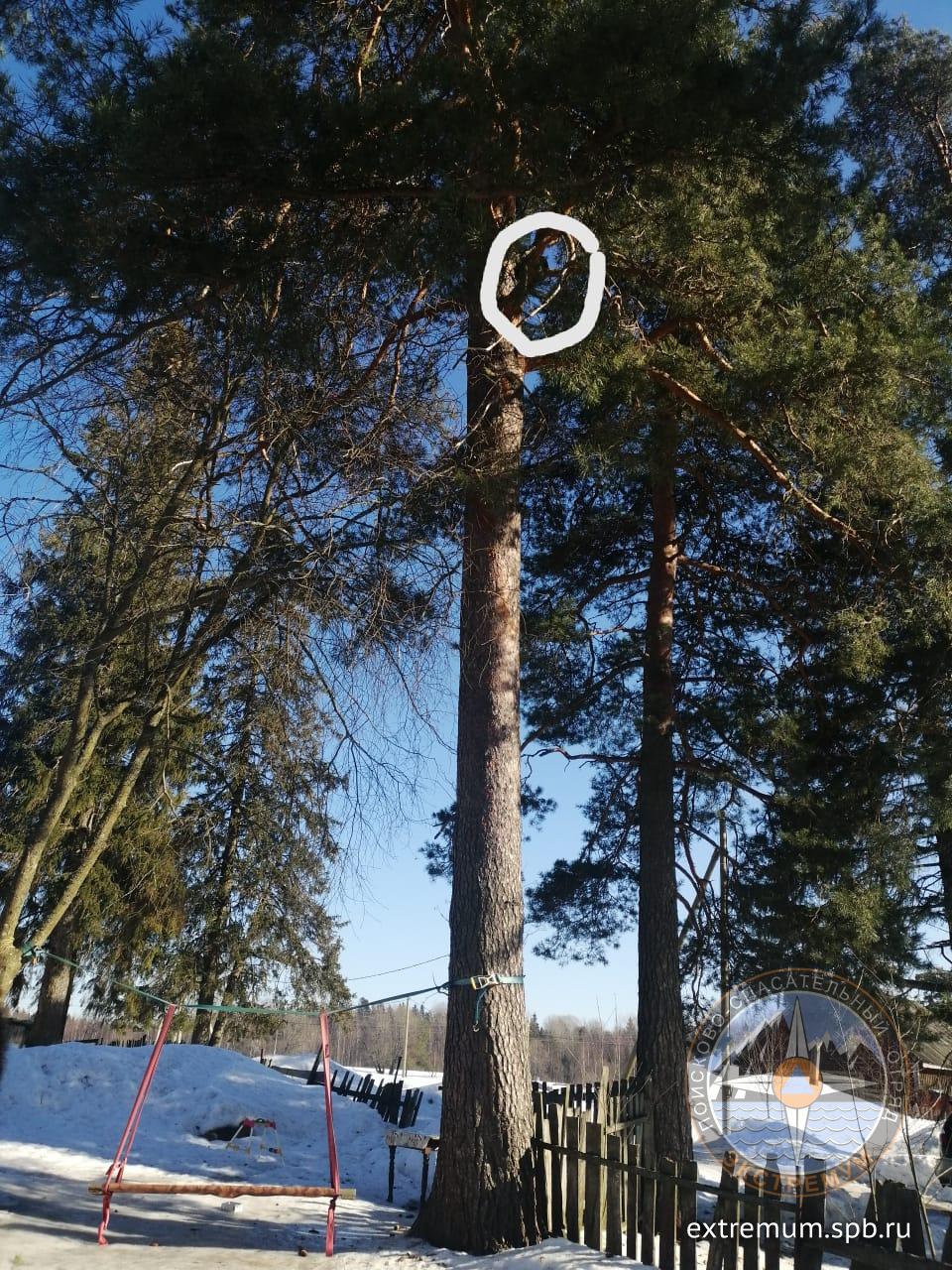 WhatsApp Image 2022-03-18 at 15.12.31.jpeg